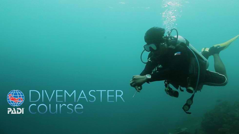 DiveMaster Course